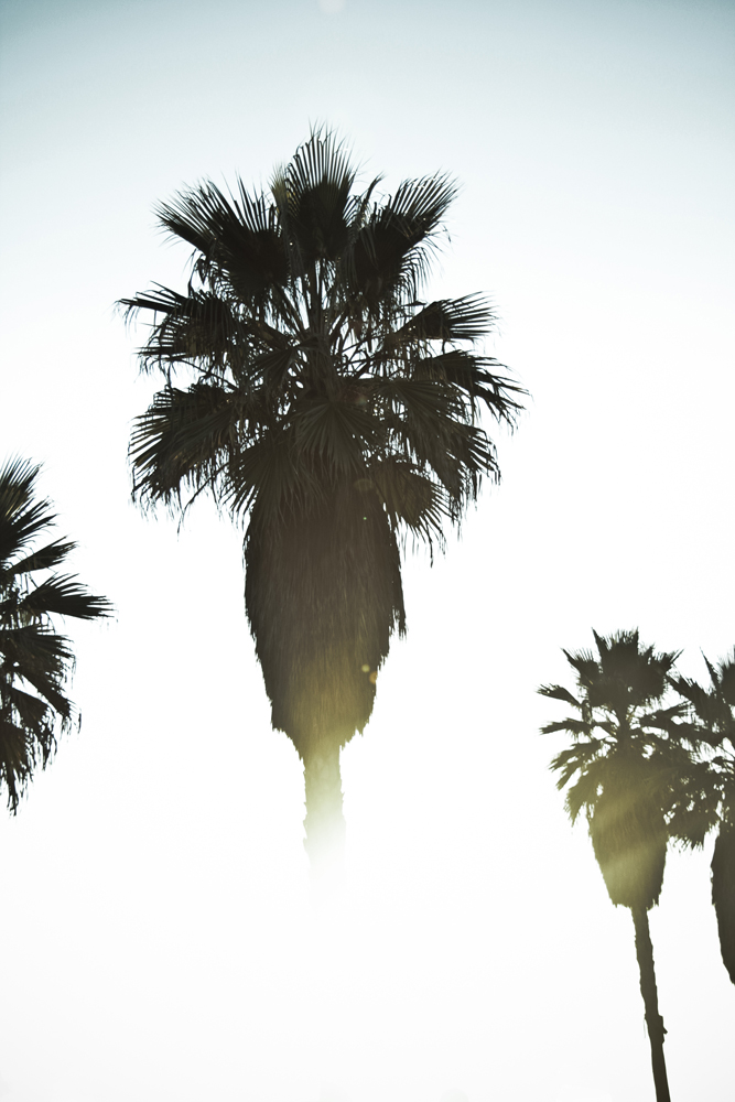 Venice_ASW1